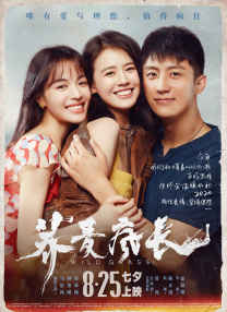 清晰在线播放观看